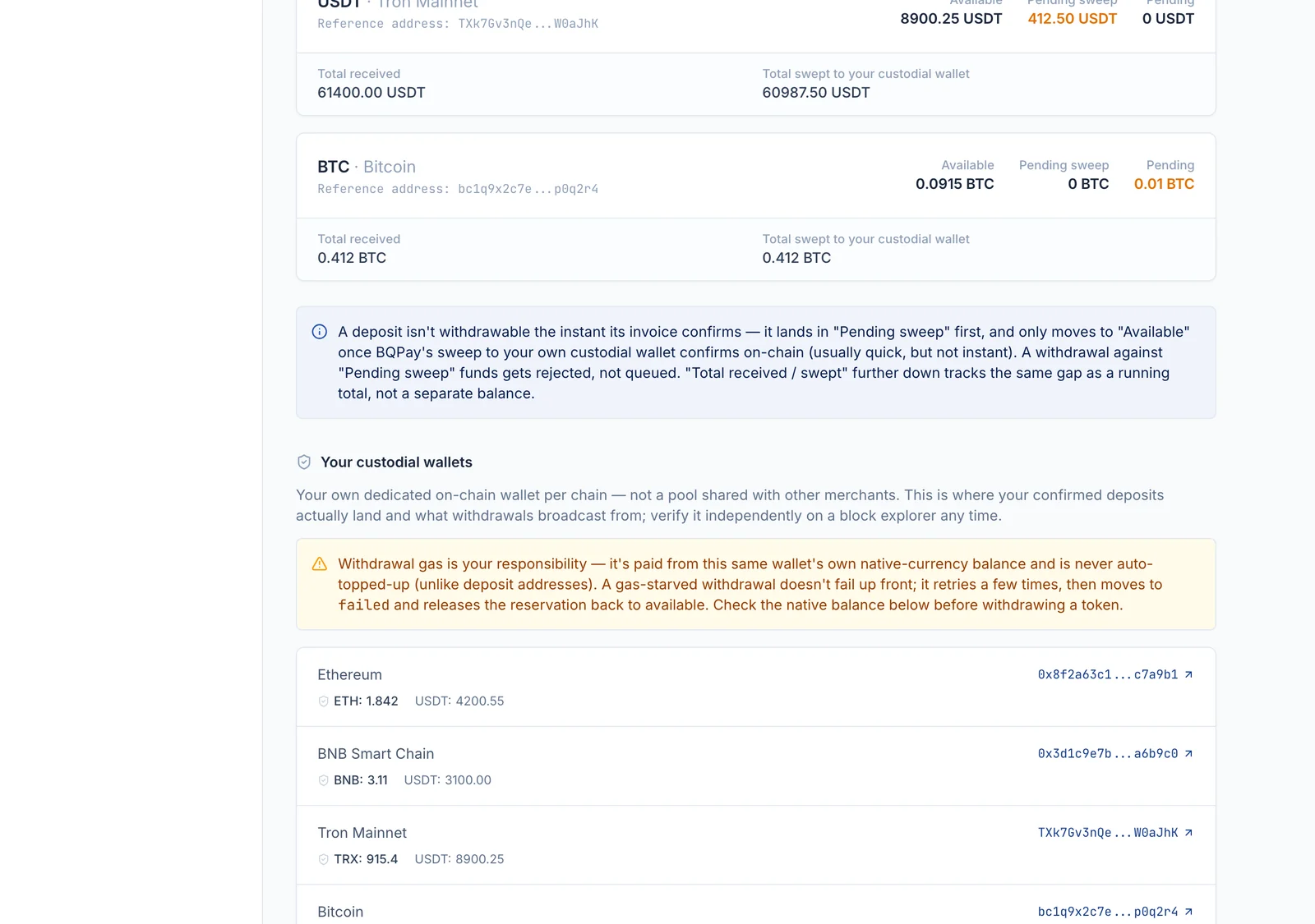 The Payaries wallet page showing per-chain balances split into available, pending sweep and reserved, with representative demo data
